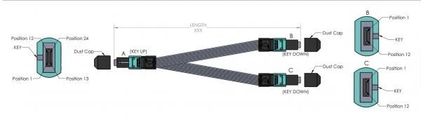 product-800-232