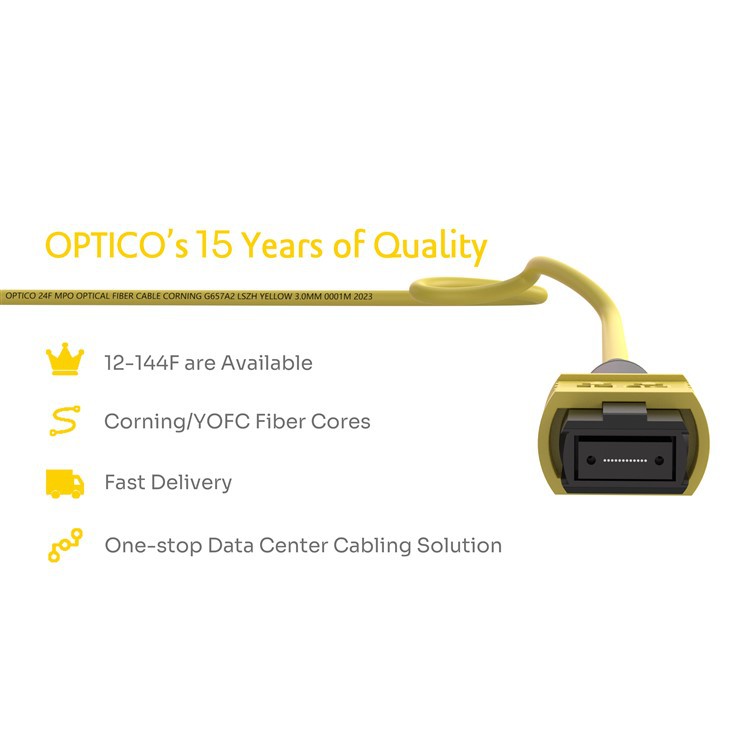 24F MPO Trunk Cable SM MM Female 2×12 Customizable 24F MPO Trunk Cable SM MM Female 2×12 Customizable